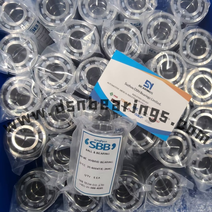 SBB bearing 3S-6004T/E-3N4G Semiconductor manufacturing